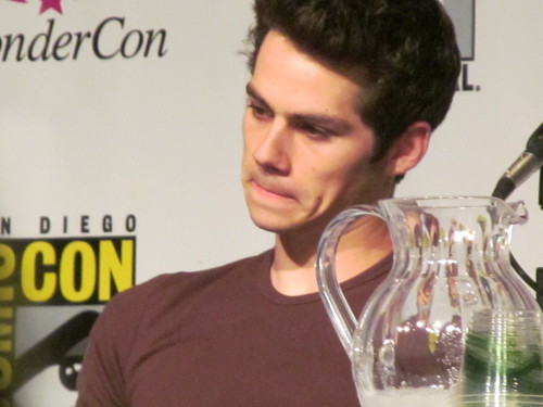 The Teen Wolf panel at Wondercon 2013 They were total sweethearts, and so funny. I&rsquo;m reall