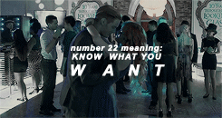 SHADOWHUNTERS COUNTDOWN; Number Meanings: 22 Days
