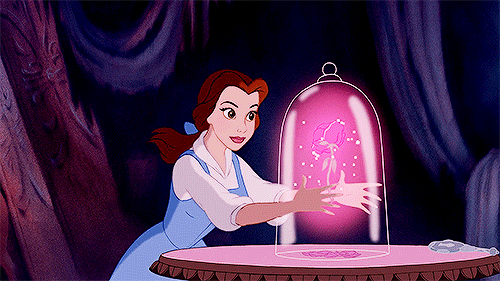 diversedisney:      The rose she had offered was truly an enchanted rose, which would