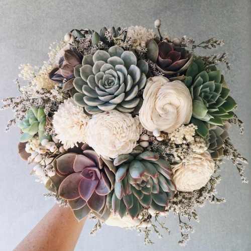 XXX sosuperawesome: Succulents Crowns, Hair Combs, photo