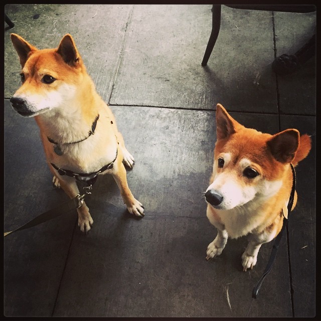 Kuma and Dagny are best friends now.