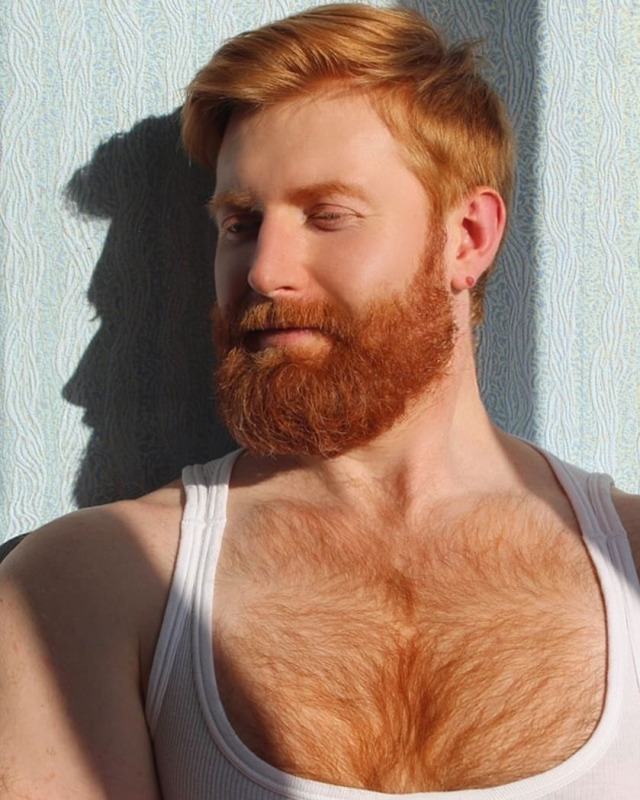 Gay ginger bear