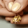 Golden rose