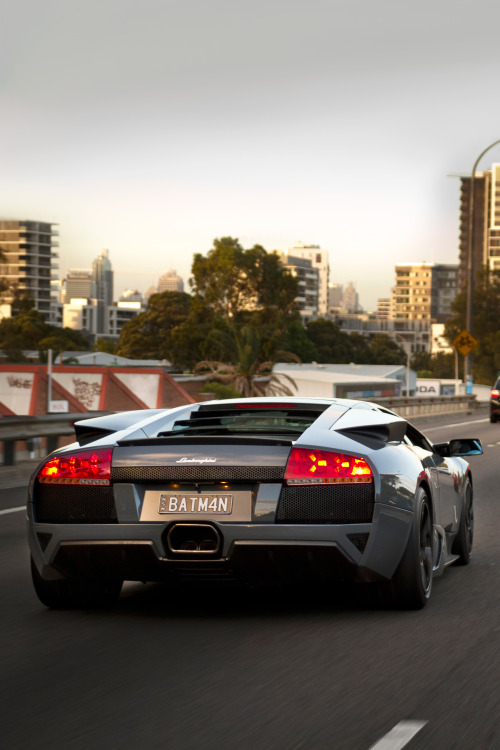 hyper-caine:  Murciélago in Sydney, Australia | © | HC 