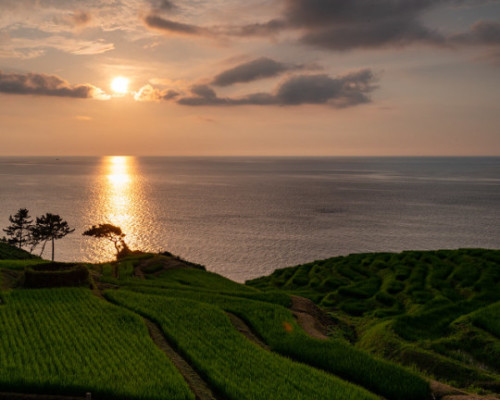 uroko:  Sunset over the terraced rice paddies facing the sea. by Shinichiro Saka