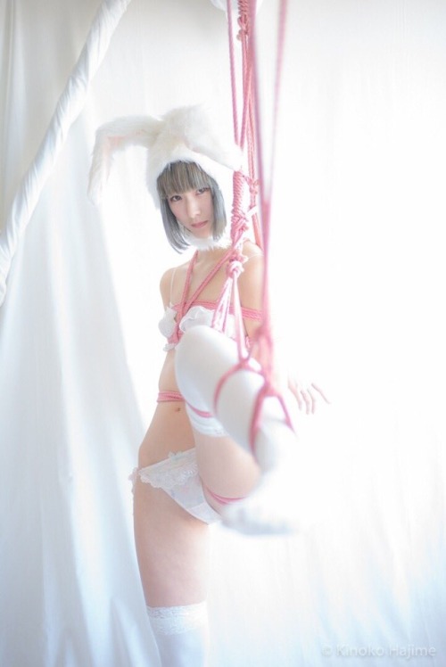 白いうさぎさんを縛りました「I bound a white rabbit」by Hajime Kinoko