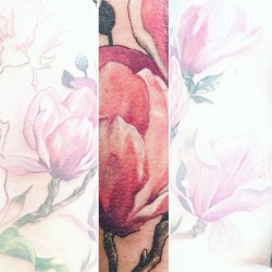 Sneak peak of some #magnoliaflowers . Thanks Rachel! I hope the parents like it so far. #magnoliaflowertattoo  #xion #flowertattoo #colortattoo #fusionink @broadstreettattoo  (at Broad Street Tattoo Parlour)
https://www.instagram.com/p/BpAYPmchKmO/?utm_source=ig_tumblr_share&ampigshid=v1qjkhfmcf4z