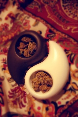 YINYANG!♥