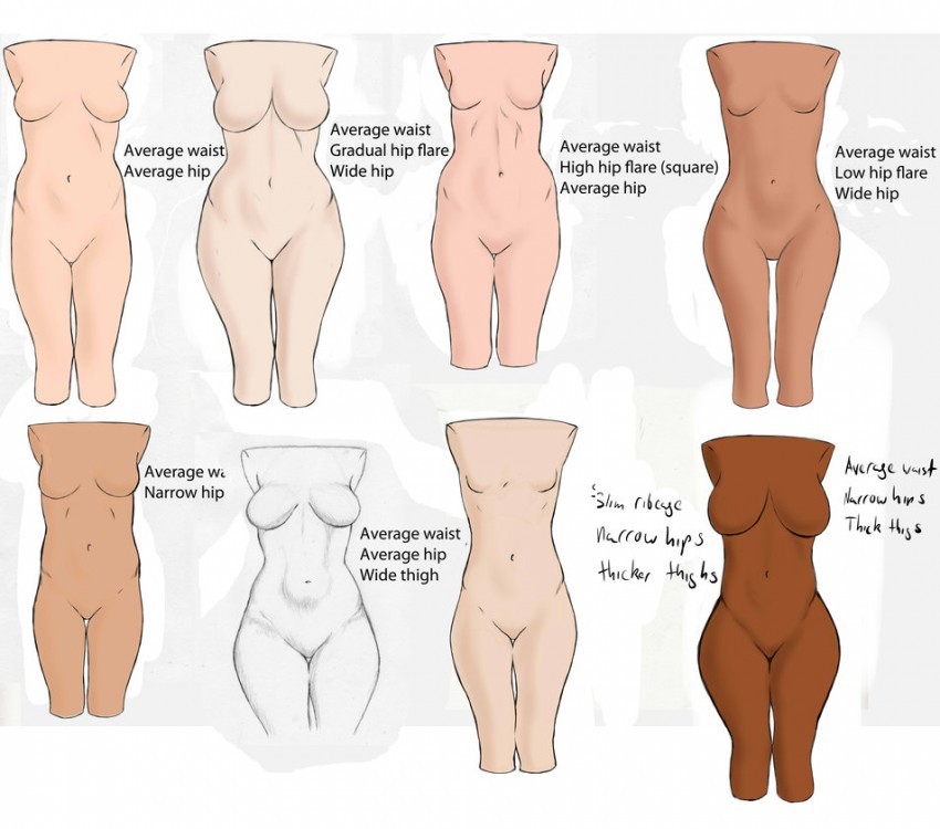 Average body type women