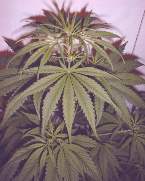 pittl:  New Post has been published on Potterest http://potterest.com