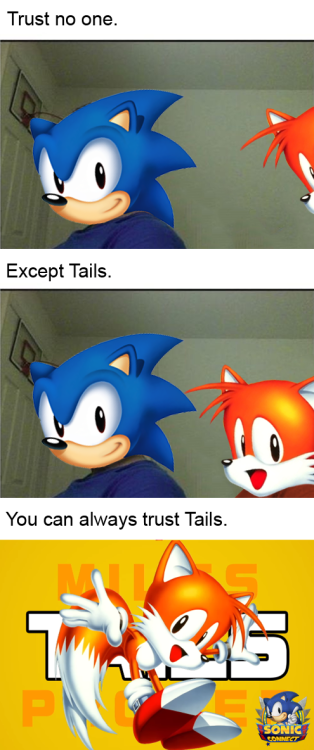 animar-smol-of-elephants:nyailist:k-chan-personal-blog:sonicconnect:Tails is the best friend in the 