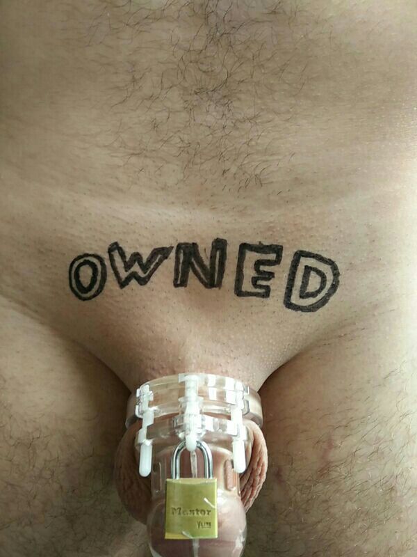 chastityboy1996:  Search is over, safehaven found :)
