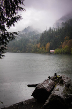 Moody-Nature:  Atmospheric Conditions // By Lindley Ashline