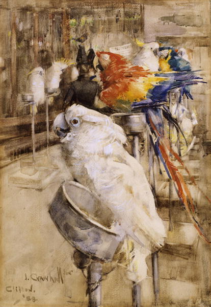 melimelo85:  Birds by Joseph Crawhall [English, 1861-1913]  