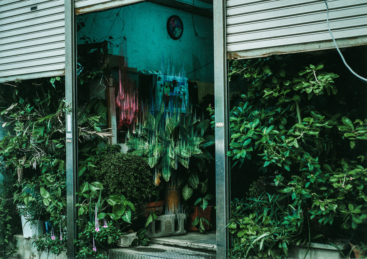 redlipstickresurrected:物の哀れ / Mono no Aware, Collaboration series of Photographer