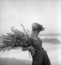 nathankotecki:  Georges Dambier - Fiona Campbell-Walter