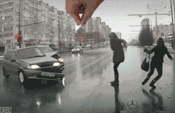 lolfactory:  Crash☆ funny pictures tumblr ☆ funniest reblogs from our dash