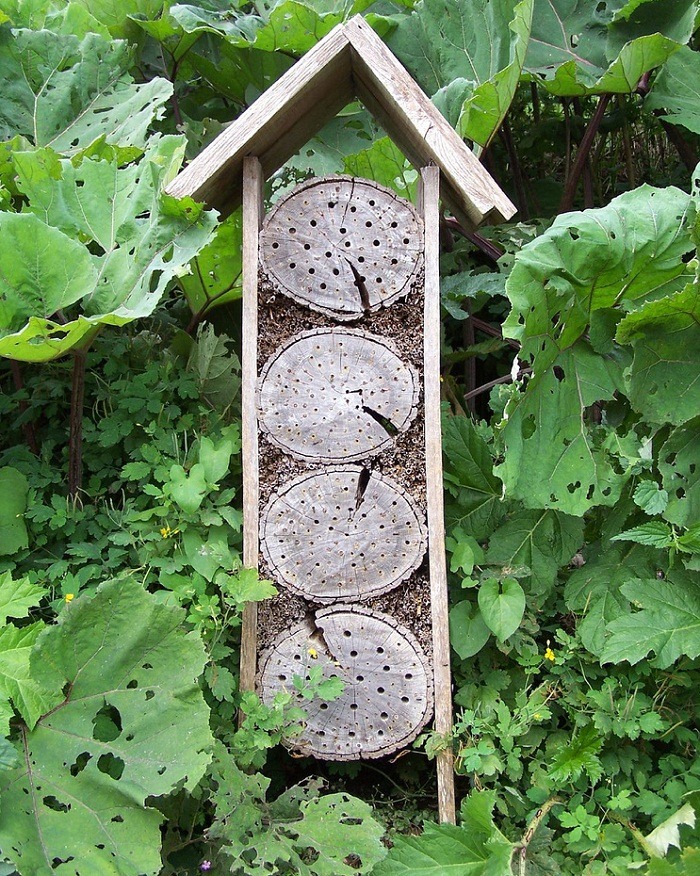 biodiverseed:  biodiverseed:  Insect Hotels Over 30% of solitary bee species are