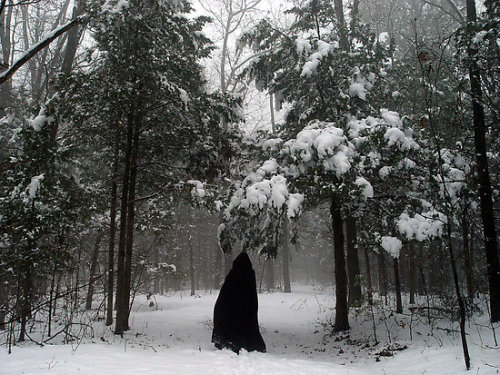 dahliafyodorovna:&ldquo;Dark Woods,Dark Traveller&rdquo; by InKibus