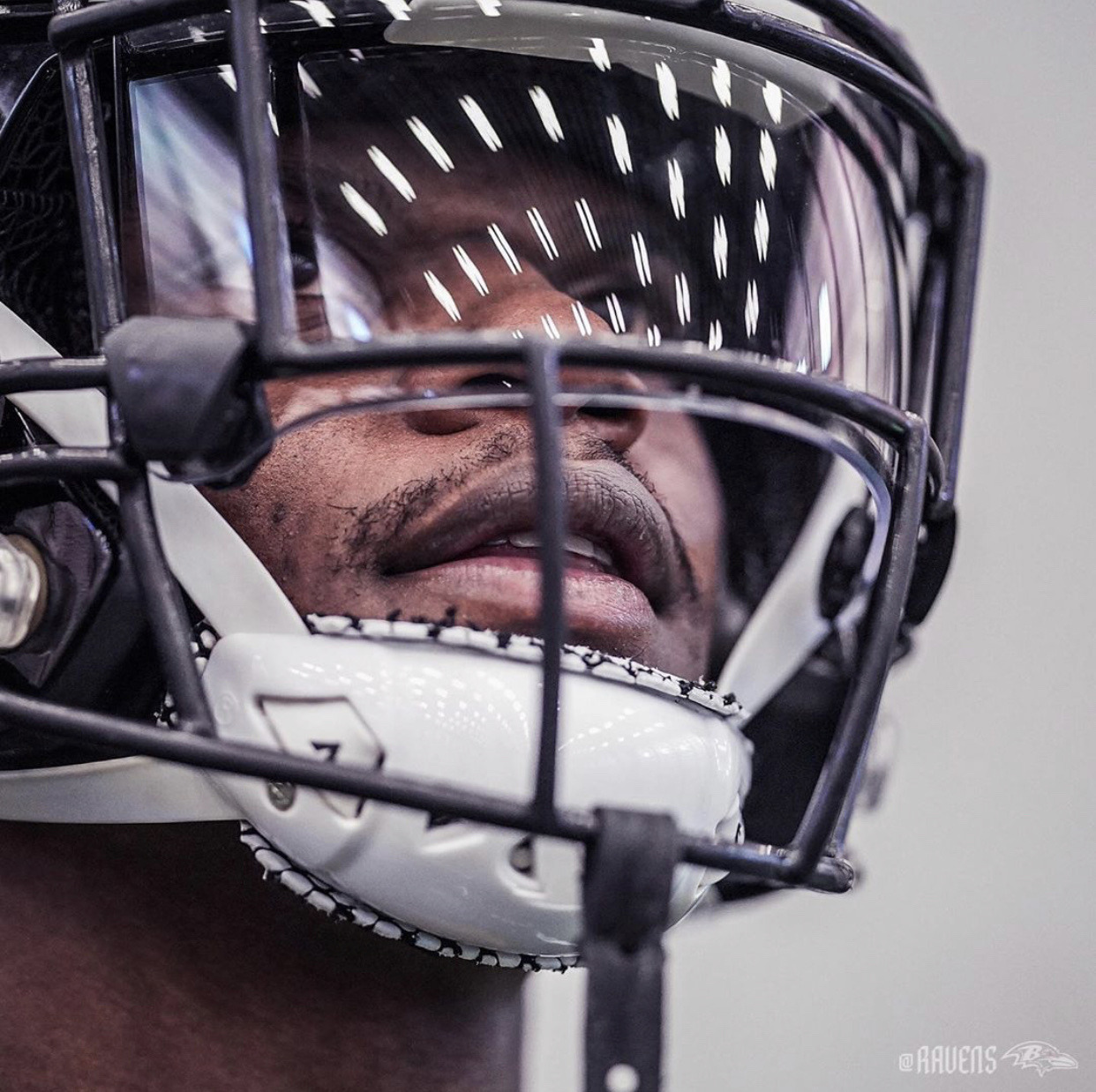 Let’s go RAVENS !!!