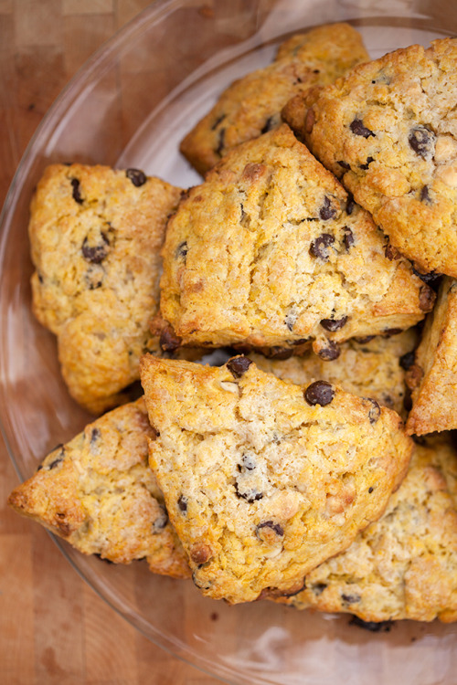 magicalfoodtime:(via Double Chocolate Pumpkin Scones | Spache the Spatula)