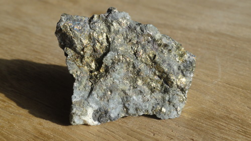 Gold Chalcopyrite CuFeS2::Au  -  02.CB.10a (Strunz)(from El Inglés Mine, Chancón, Rancagua, Chile) T