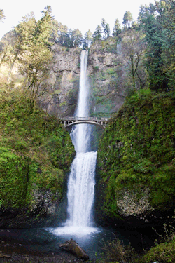 epicurean-world:  czechthecount:  Multnomah Falls by czechthecount: instagram | facebook | 500px | society6   Water - The source to all life. 
