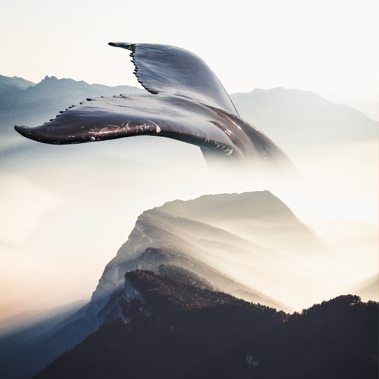itscolossal:  Photo Collages by Justin Peters