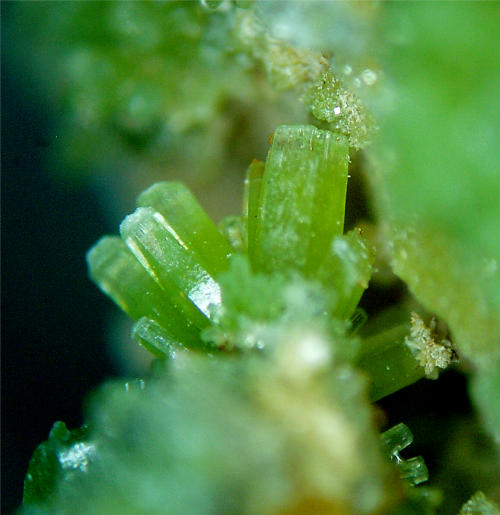 rockon-ro:  PYROMORPHITE (Lead Chlorophosphate) crystals from Bunker Hill Mine, Shoshone County, Kellogg, Idaho, USA.  Photo taken with a microscope at 20X.