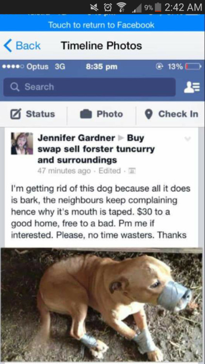 moremetalthanyourmom:lshimura:earthandanimals:I’m just going to leave this here. I hope that you guys help me find out who this person is so that we can hopefully bring her up on animal cruelty charges.  PLEASE SIGNAL BOOST THIS!  Poor baby ):