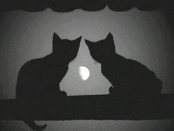 thelittleskylark:  Two cats in the dark &lt;3
