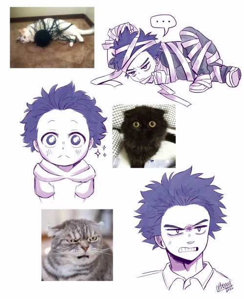 athenoot:shinsou but as cat images bc I have no self control whatsoever