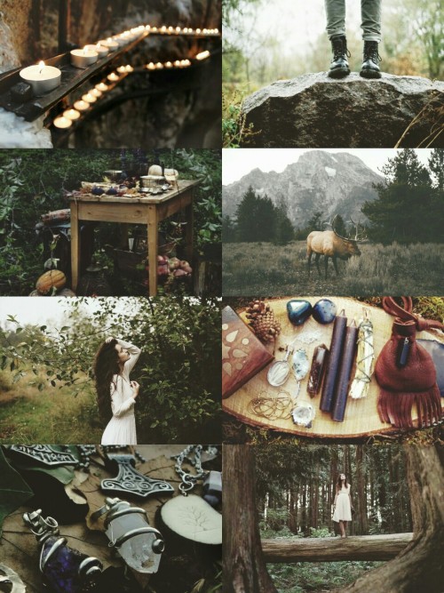 demoniclour:Forest Witch aesthetic