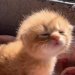 his-shining-tears: Monday morning mood. 
