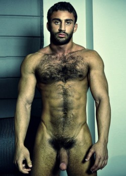 Haus-O-Ass:  Woof  