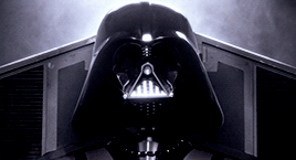likeasummer:  MAY 4TH BE WITH YOU  “The Force is strong in my family. My father