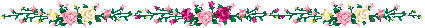 Rose Dividers