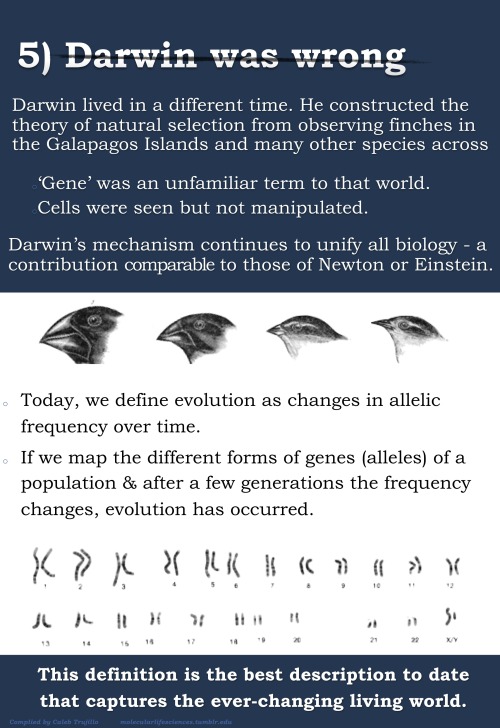 jtotheizzoe:  molecularlifesciences:  Top 5 misconceptions about evolution: A guide to demystify the foundation of modern biology. Version 2.0 Donate here to support science education:  National Center for Science Education http://ncse.com Thank you