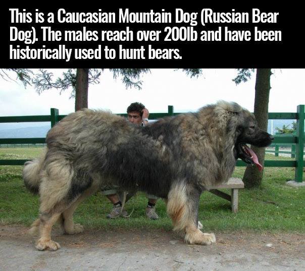 The Best of Tumblr