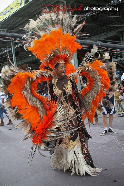 terrasmiles:     coconutoil97:  Let me just say y’all have the reach of the week trying to accuse Nicki of wearing Native American headdress. She’s from Trinidad, she’s West Indian, we wear headdress for carnival in the Caribbean. We use peacock