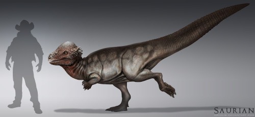 grimchild: saurian-game: Finally its time to show our Pachycephalosaurus!  Being one of our fou