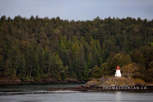 Somewhere between Vancouver and Victoria, BC. #britishcolumbia #vancouver #victoriabc #gulfcoast #fe