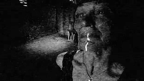 classichorrorblog:  The Poughkeepsie Tapes |2007| John Erick Dowdle