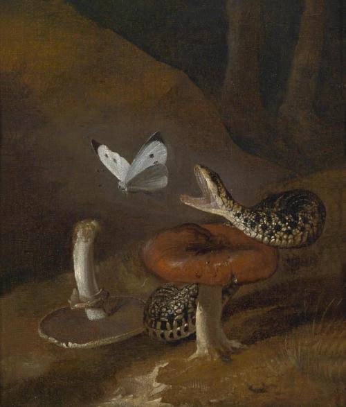 redlipstickresurrected:Otto Marseus van Schrieck aka The Snuffler (Dutch, c. 1619-1678, b. Nijmegen,