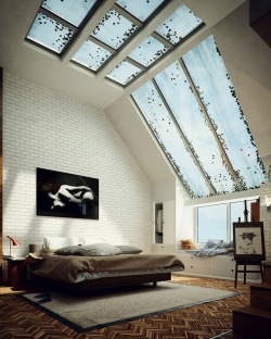 Homedesigning:  Bedroom Skylight
