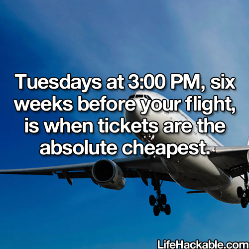 lifehackable:  More Money Saving Hacks Here
