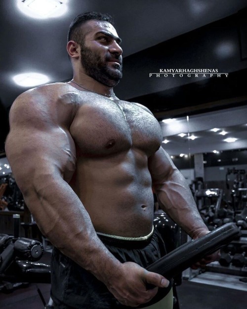 fanomuscle:  Pouria Payoon