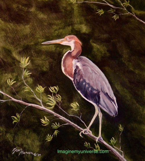 “Heron Out of Water” was one of my earliest oil paintings. It was when I was experiment with my pain