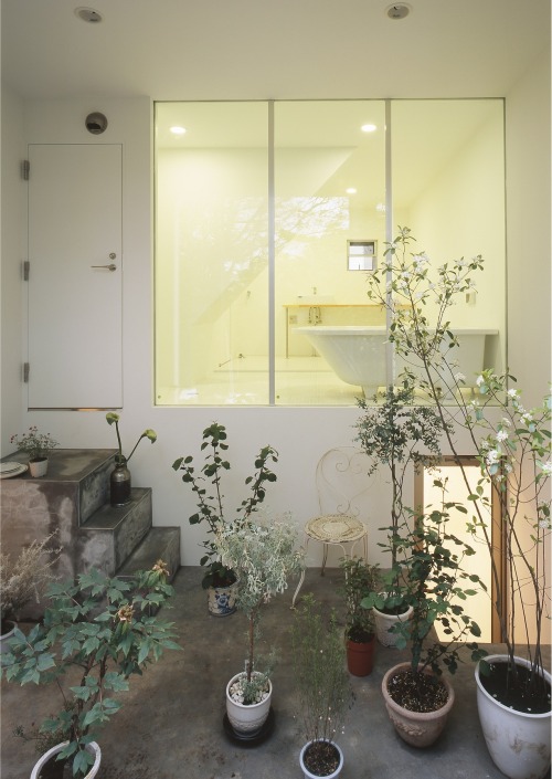 vineayl:ummhello:House with Gardens, Tetsuo Kondo Architectsnature/indie