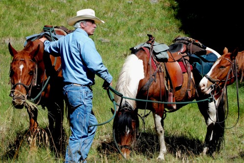 Cowboy action, Texas